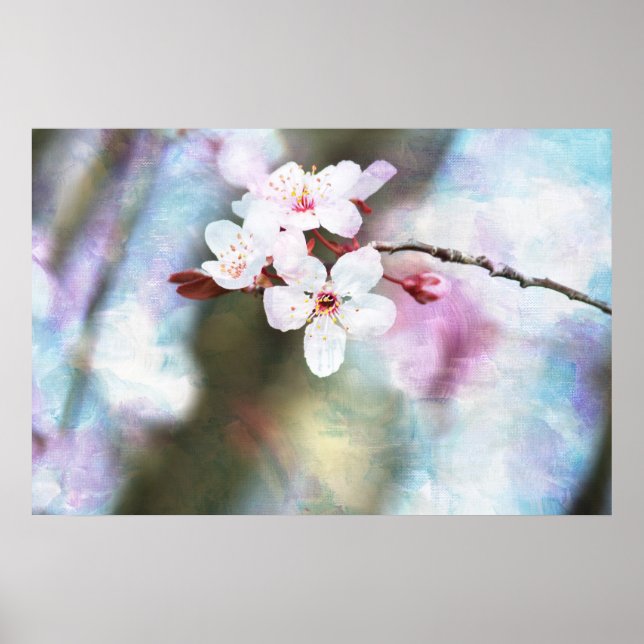 Painted Cherry Blossom Poster (Front)