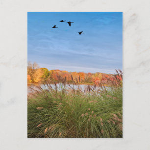 Painted Connecticut Autumn Postcard