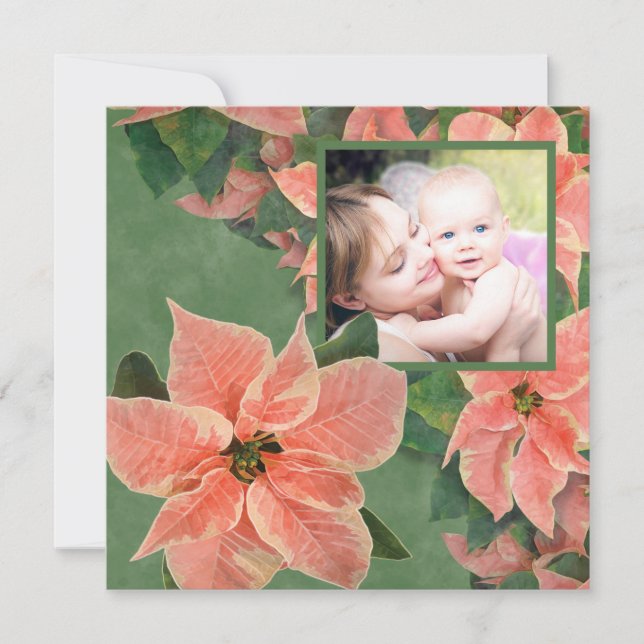 Painted Coral Poinsettia Family Photo Christmas Holiday Card (Front)