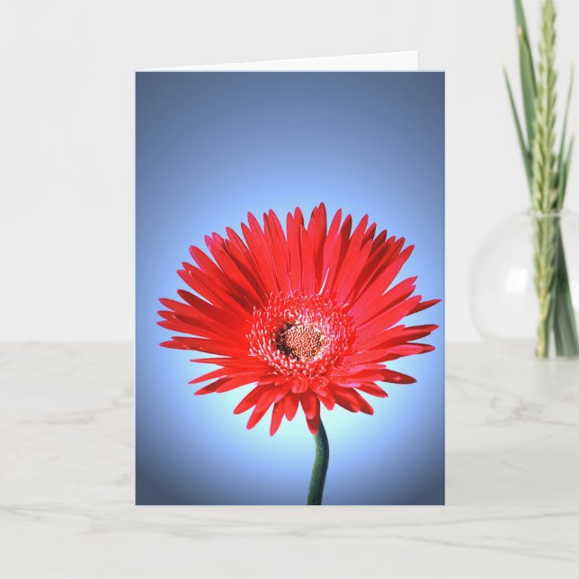 Painted Daisy Card (Front)