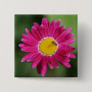 Painted Daisy Cards and more 15 Cm Square Badge