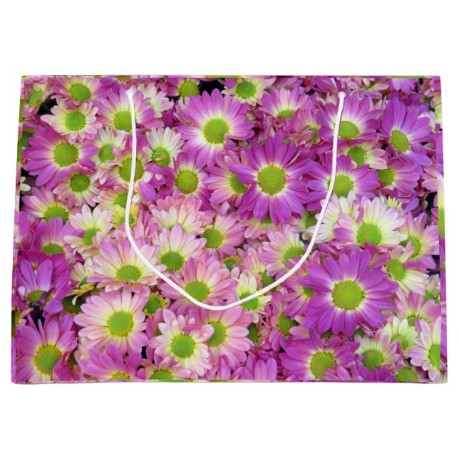 Painted Daisy Gift Bag (Front)