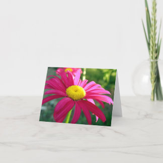 Painted Daisy Note Card