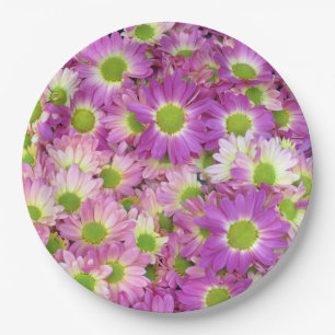 Painted Daisy Paper Plate