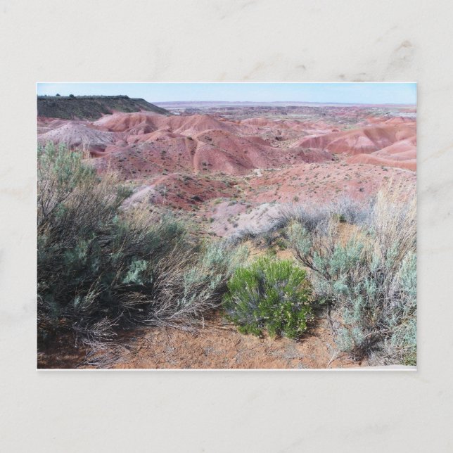 Painted Desert Postcard (Front)