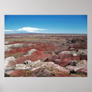 Painted Desert Poster