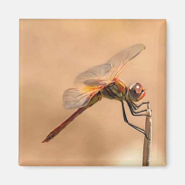 Painted Dragonfly Isolated Against Ecru Magnet (Front)