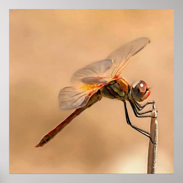 Painted Dragonfly Isolated Against Ecru Poster (Front)