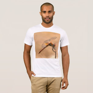 Painted Dragonfly Isolated Against Ecru T-Shirt