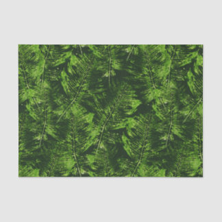 Painted Ferns Tissue Paper