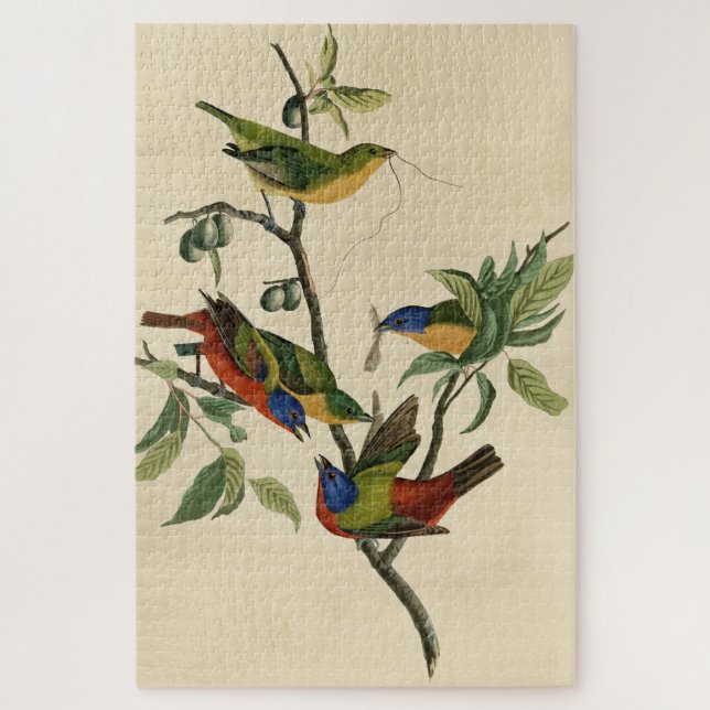 Painted Finch (Bunting) Audubon's Birds of America Jigsaw Puzzle (Vertical)
