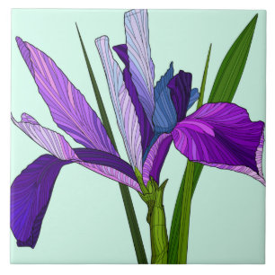 Painted Flowers, pretty purple iris on mint Tile