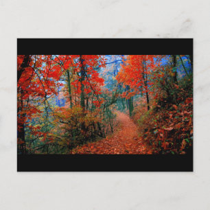 Painted Forest Autumn Flame Watercolor Gifts Postcard