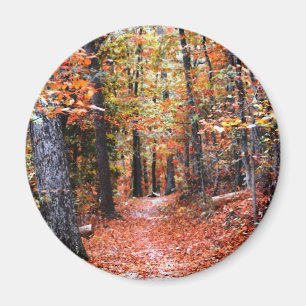 Painted Forest Autumn Trail Watercolor Gifts Magnet