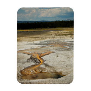 Painted Grounds Premium Magnet