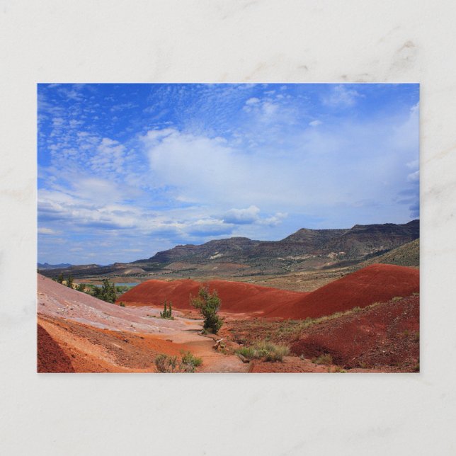 Painted Hill John Day Fossil Beds Oregon Postcard (Front)
