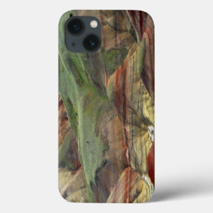 Painted Hills, John Day Fossil Beds, Mitchell iPhone 13 Case