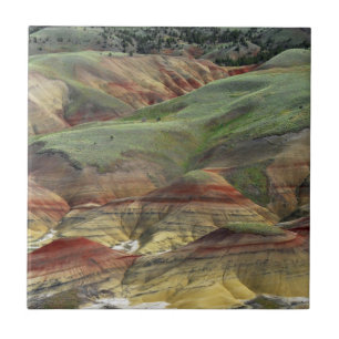 Painted Hills, John Day Fossil Beds, Mitchell Tile
