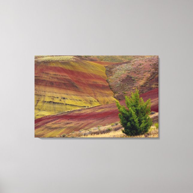 Painted Hills, Mitchell, Oregon, USA Canvas Print (Front)