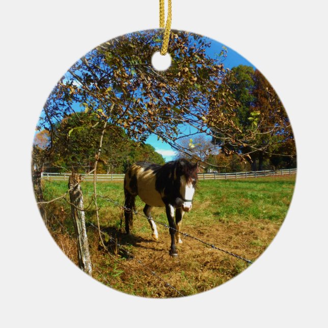 Painted Horse, Ceramic Tree Decoration (Front)