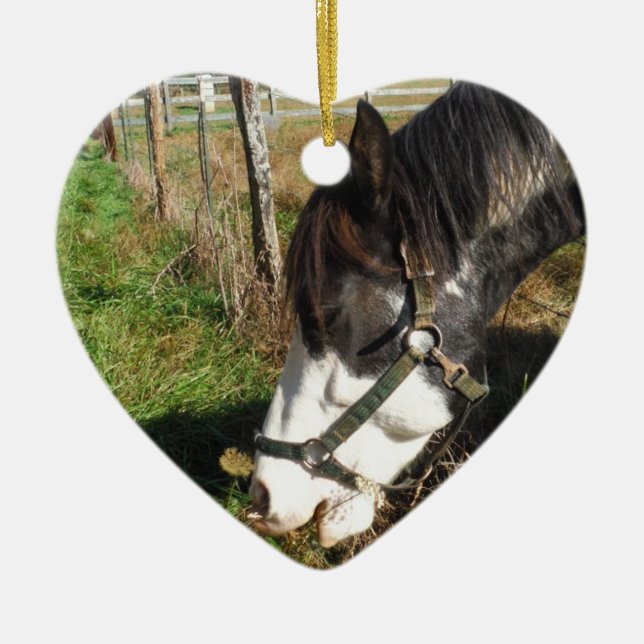 Painted Horse, Eating Queen Ann Lace flower Ceramic Tree Decoration (Front)