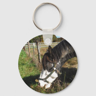 Painted Horse, Eating Queen Ann Lace flower Key Ring
