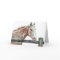 Painted Horse Greeting Card