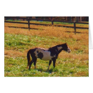 Painted Horse in the Distance