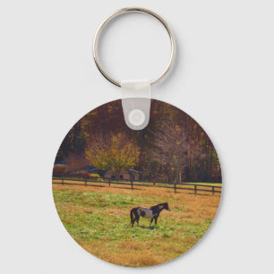 Painted Horse in the Distance Key Ring