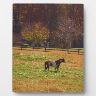 Painted Horse in the Distance Plaque