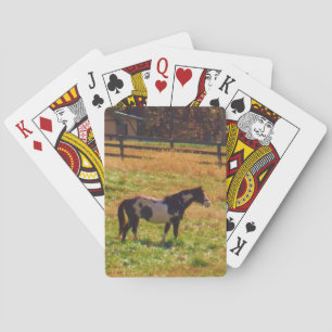 Painted Horse in the Distance Playing Cards