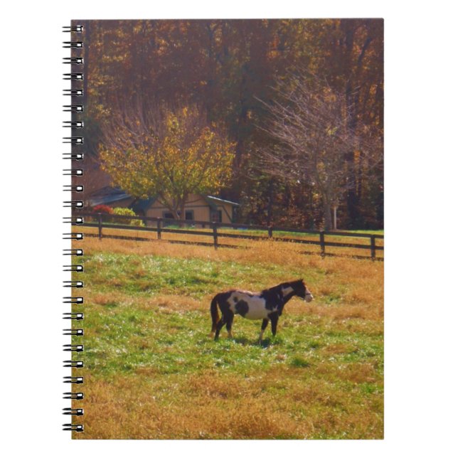 Painted Horse in the Distance Spiral Notebook (Front)