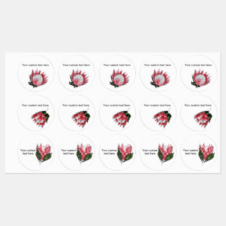 Painted King Protea labels