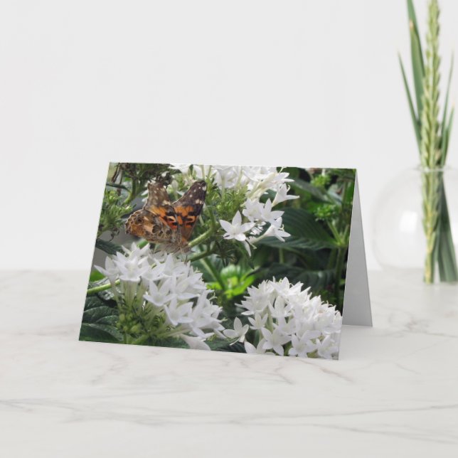 Painted Lady Butterfly Birthday Card (Front)