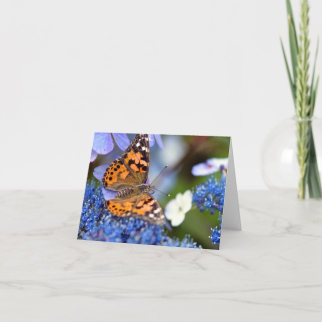 Painted Lady Butterfly Greeting Card (Front)