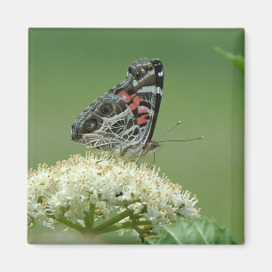Painted Lady Butterfly Magnet
