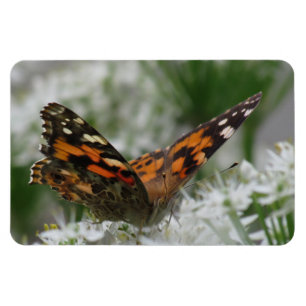 Painted Lady Butterfly Magnet