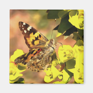 Painted Lady Butterfly on Myrtle Spurge Magnet