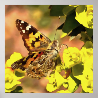 Painted Lady Butterfly on Myrtle Spurge Poster