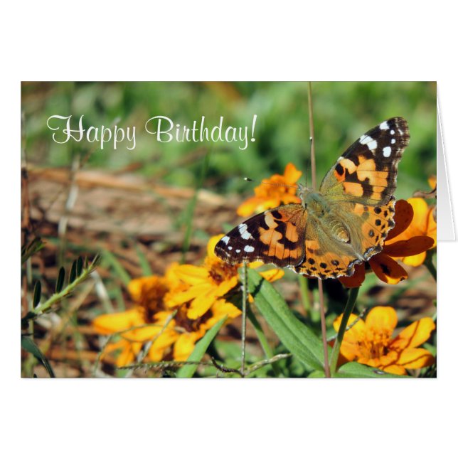 Painted Lady Butterfly on Zinnia Birthday Card (Front Horizontal)