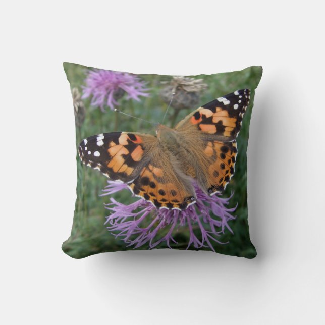 'Painted Lady' Butterfly Pillow (Front)