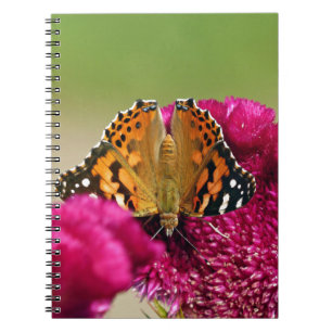 Painted Lady Butterfly Spiral Notebook