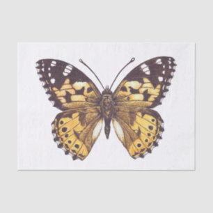 Painted lady butterfly tissue paper
