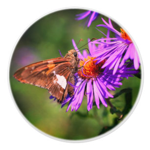 Painted Lady Butterfly Wild Aster Flower  Ceramic Knob