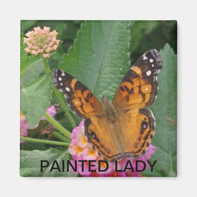 PAINTED LADY MAGNET (Front)