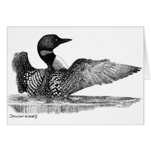 Painted Loon