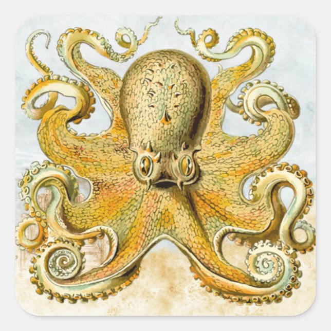 Painted Nautical Octopus Kraken Squid Square Sticker (Front)