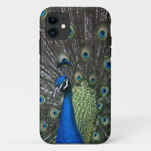 Painted Peacock iPhone 5 Case-Mate Case