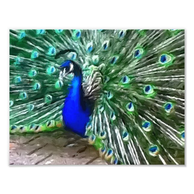 painted peacock photo print (Front)