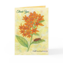 Painted Petals - Fewflower  